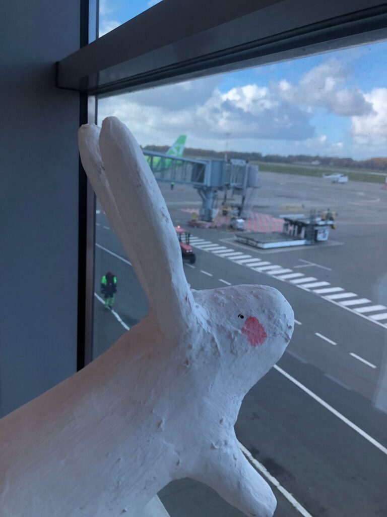 022_bunnies
